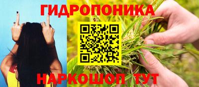 прущие крисы Нальчик