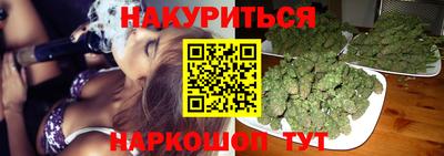 стаф Новокубанск