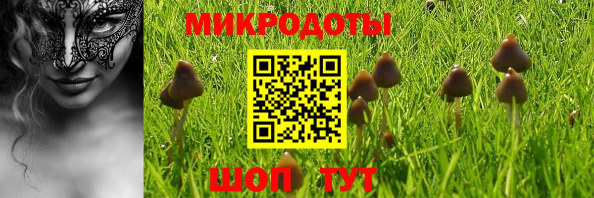 Галлюциногенные грибы Cubensis  Вход с VPN  Улан-Удэ 